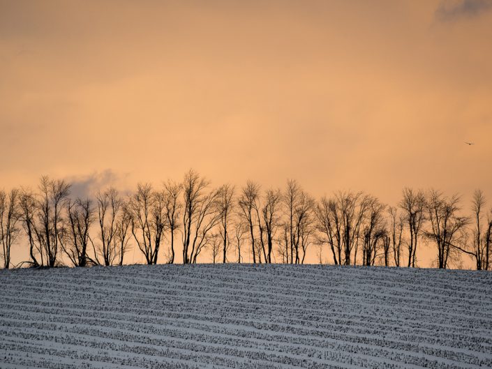 Hillsdale Winter | Upstate NY Winter Sunset | Birds | Upstate NY landscape photography | Nature Photography | Photographer Dave Butterworth | EyeWasHere | Eye Was Here Photography