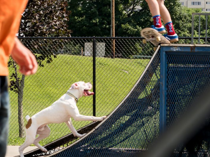 Mike Baldwin & His Dog | New York Skateboarding Photography | Poughkeepsie Skatepark | Photographer Dave Butterworth | EyeWasHere Photography | Eye Was Here