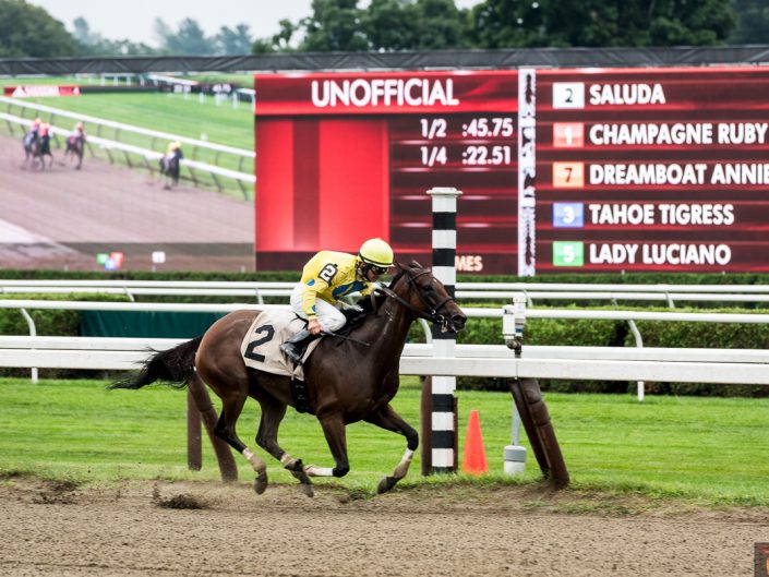 Saratoga Race Track Photography | Saratoga Race Course | Horse Racing | Thoroughbred | Equine | Equestrian | Photographer Dave Butterworth | EyeWasHere | Eye Was Here Photography