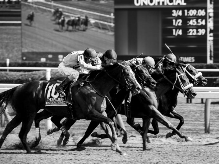 Black and White Horse Racing Photo | Saratoga Race Track Photography | Saratoga Race Course | Horse Racing | Thoroughbred | Equine | Equestrian | Photographer Dave Butterworth | EyeWasHere | Eye Was Here Photography