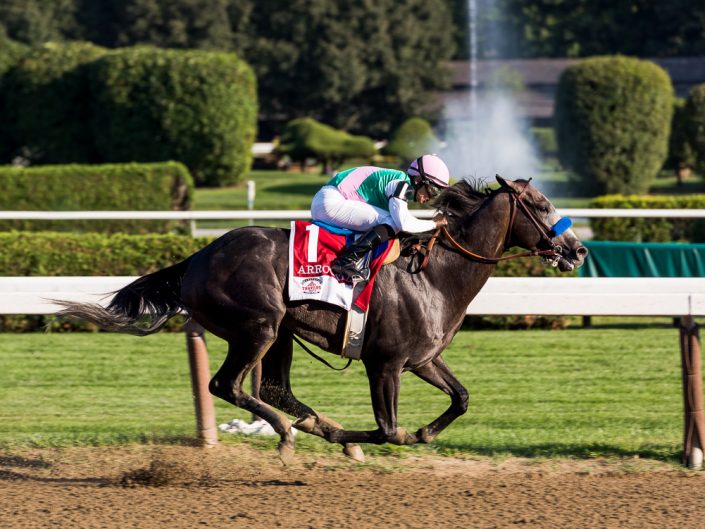 Arrogate Horse | Saratoga Race Track Photography | Saratoga Race Course | Horse Racing | Thoroughbred | Equine | Equestrian | Photographer Dave Butterworth | EyeWasHere | Eye Was Here Photography