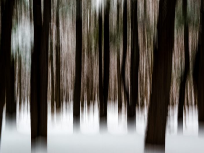 Trees & Snow | Motion Blur Photography | Zoom Effect | Camera Movement | Albany NY Photographer Dave Butterworth | EyeWasHere Photography | Eye Was Here