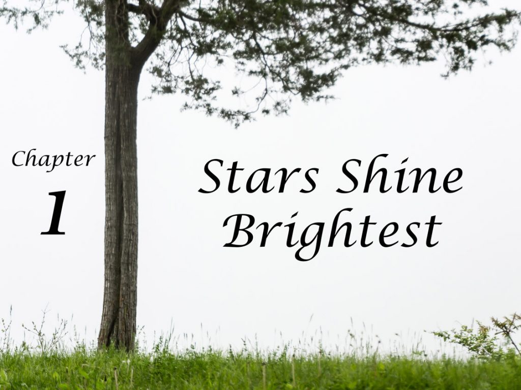 Stars Shine Brightest | Upstate NY Star Trails Photography | Eye Was Here Photography Chapters | Night Photography | Albany NY | Hudson Valley | Architectural Photography | New York Photographer Dave Butterworth | EyeWasHere