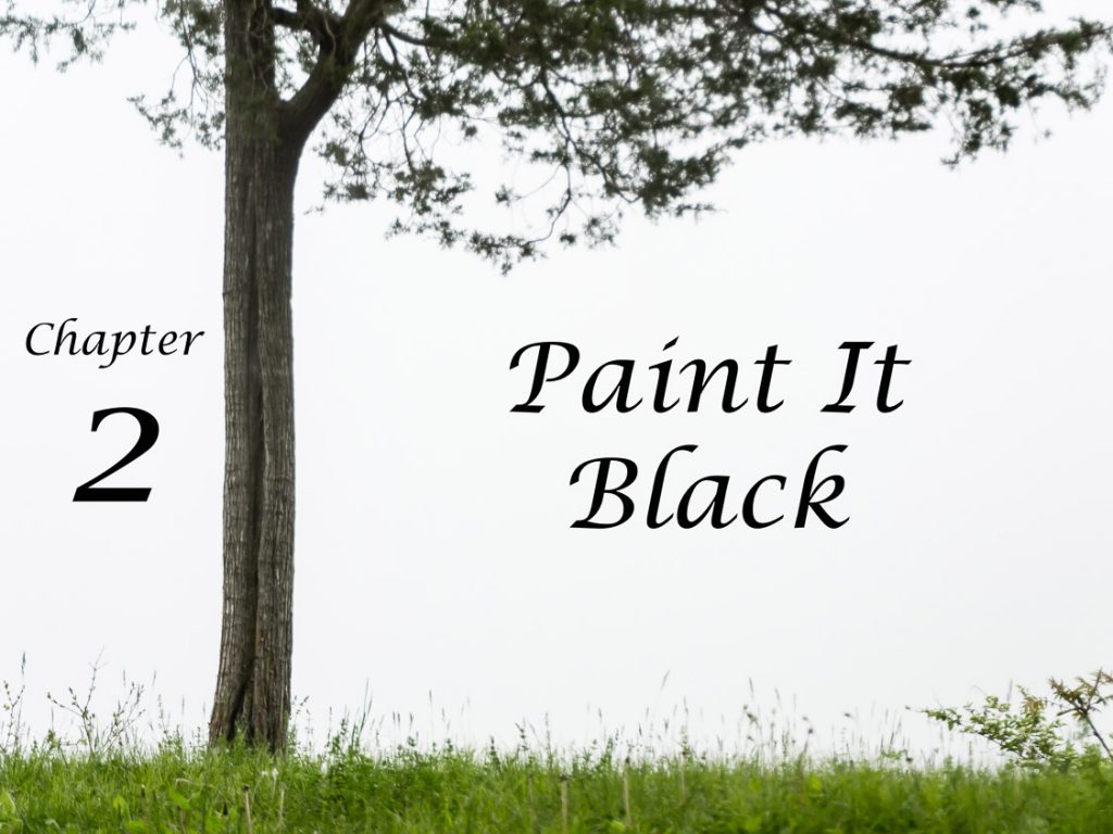 Paint It Black | Upstate NY Black & White Photography | Eye Was Here Photography Chapters | Monochrome | Fine Art | Landscapes | Nature | Architecture | Photographer Dave Butterworth | EyeWasHere