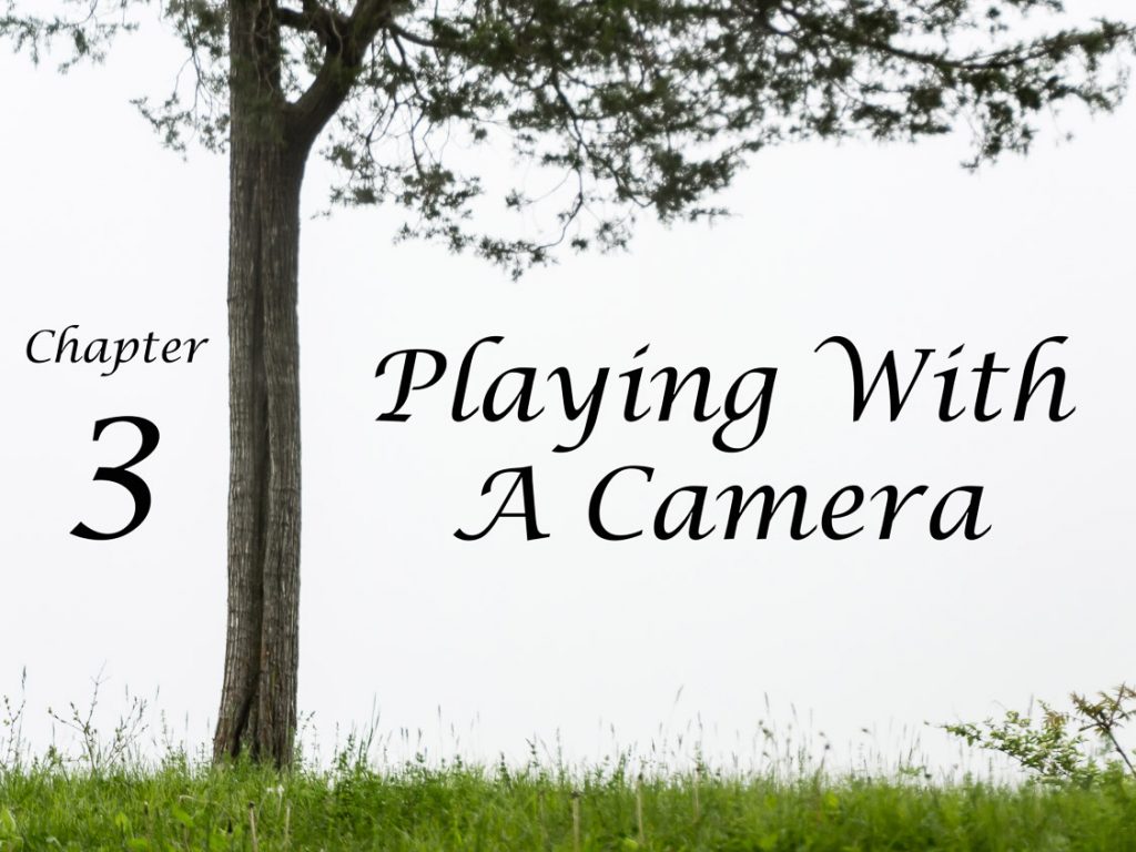 Playing With A Camera | Upstate NY Landscape Photography | Eye Was Here Photography Chapters | Nature | Animals | Photographer Dave Butterworth | EyeWasHere