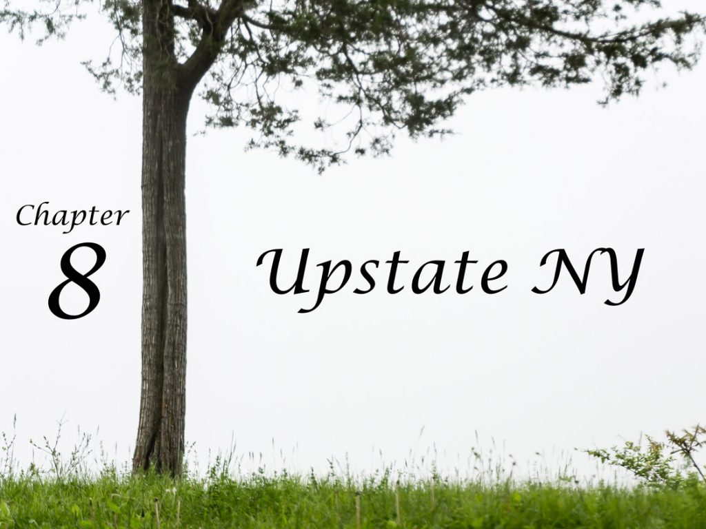 Upstate NY Photography | Eye Was Here Photography Chapters | New York Landscapes and Scenes | Albany NY Photographer Dave Butterworth | EyeWasHere