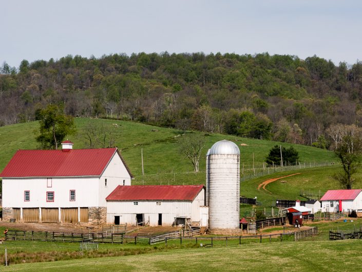 White Farm | Red Roof | Culpeper VA | Virginia Landscape Photography | Nature | Farmland | farm Animals | Photographer Dave Butterworth | Eye Was Here Photography | EyeWasHere