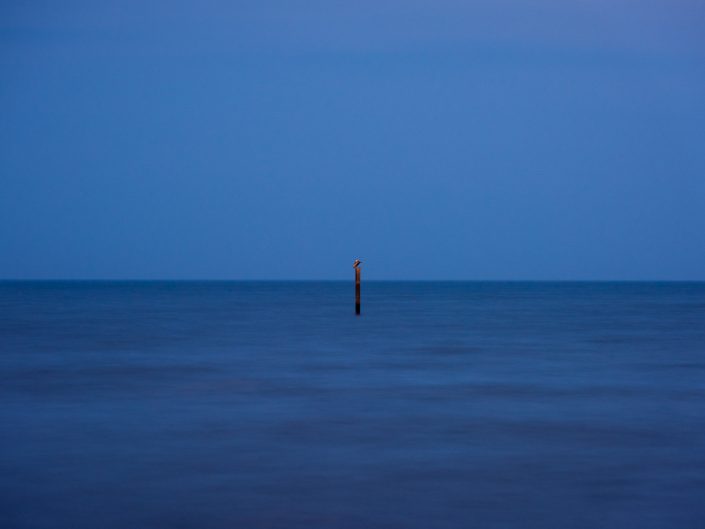 Pelican Sitting on a Pole | Gulfport Mississippi Photography | Gulf Coast Birds | Ocean | Twilight | Long Exposure | Photographer Dave Butterworth | Eye Was Here Photography | EyeWasHere