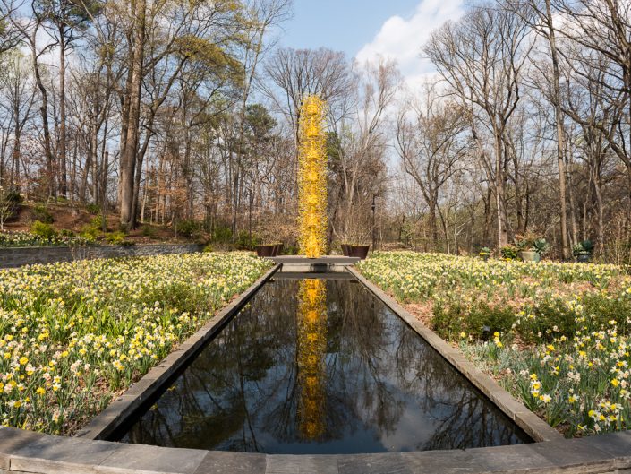 Atlanta Botanical Garden | Atlanta Georgia | Flowers | Landscape Photography | Nature | Photographer Dave Butterworth | Eye Was Here Photography | EyeWasHere