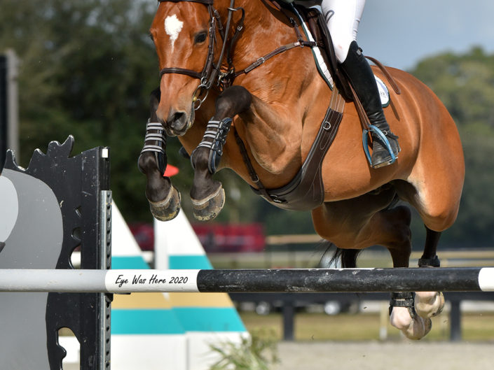 Ocala Florida Horse Show Photography | Air Show Jumping | Florida Horse Park | Jumpers | Grand Prix | Equestrian | Equine Photographer | Eye Was Here Photography | EyeWasHere | Dave Butterworth